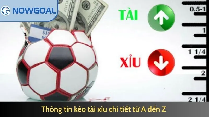 Thông tin kèo tài xỉu chi tiết từ A đến Z